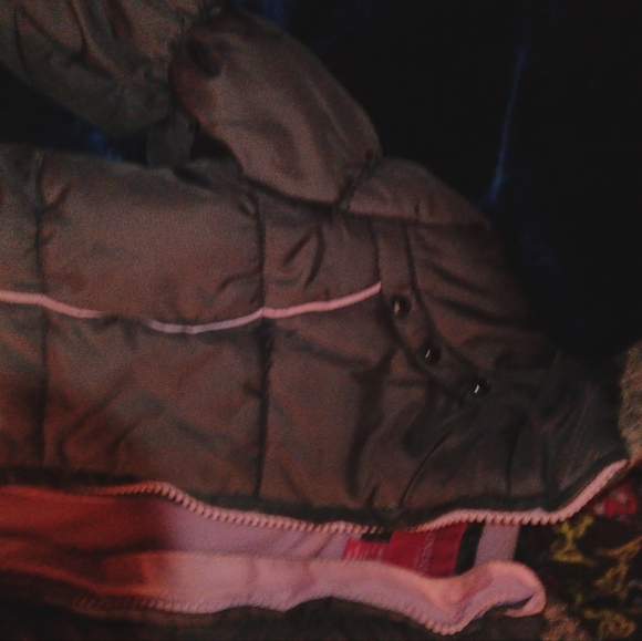 Jacket - Picture 4 of 8